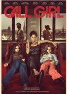 Девушка по вызову (2012) Call Girl