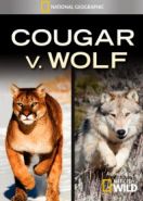 National Geographic. Пума против волка (2013) Cougar vs Wolf