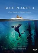 Голубая планета 2 (2017) Blue Planet II