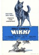 Дикий пес Севера (1961) Nikki, Wild Dog of the North