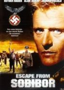 Побег из Собибора (1987) Escape from Sobibor