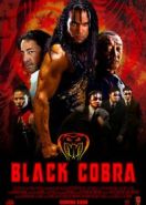 Черная кобра (2012) When the Cobra Strikes