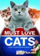 Кошек не любить нельзя (2011) Must Love Cats