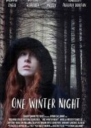 Однажды зимней ночью (2019) One Winter Night