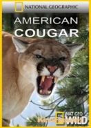 Американская пума (2011) American Cougar
