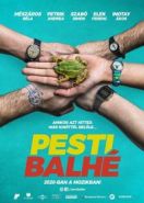 Ограбление в Будапеште (2020) Pesti balhé