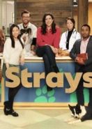 Бездомные животные (2021) Strays
