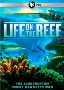 National Geographic. Жизнь на Большом Барьерном рифе (2014) Life on the Reef