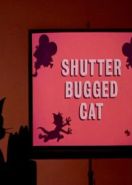 Кот скрытой камерой (1967) Shutter Bugged Cat