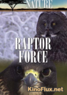 NG: Сила Хищных Птиц (2006) NG: Raptor Force