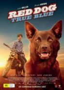 Рыжий пес: Самый верный (2016) Red Dog: True Blue