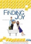 В поисках радости (2013) Finding Joy