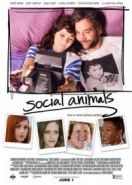 Погоня за любовью (2018) Social Animals