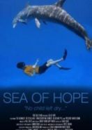 Море надежды. Подводные сокровища Америки (2017) Sea of Hope. America's Underwater Treasures