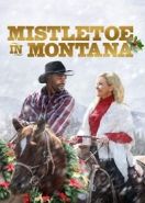 Рождество в Монтане (2021) Mistletoe in Montana