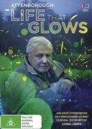 Живой свет с Дэвидом Аттенборо (2016) Attenborough's Life That Glows