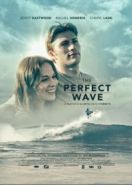 Идеальная волна (2014) The Perfect Wave