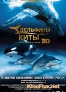Дельфины и киты 3D (2008) Dolphins and Whales 3D: Tribes of the Ocean