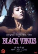 Черная Венера (1983) Black Venus