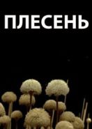 Плесень (2009)