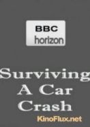 BBC. Horizon: Выжить в автокатастрофе (2011) Horizon. Surviving a Car Crash