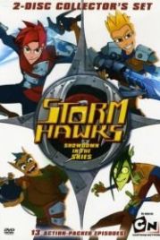 Небесные рыцари (2007) Storm Hawks