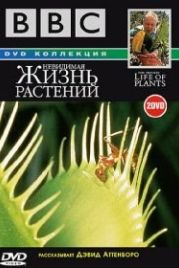 BBC: Невидимая жизнь растений (1995) The Private Life of Plants