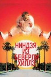Ниндзя из Беверли Хиллз (1997) Beverly Hills Ninja