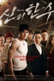 Божественный ход / Одно движение Божье (2014) Shinui han soo / God's One Move