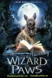 Удивительный волшебник из Лапы (2015) The Amazing Wizard of Paws