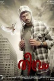 Крайний случай (2012) Theevram