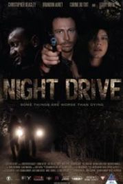 Ночной драйв (2010) Night Drive