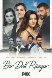 Сумасшедший ветер (2018) Bir Deli Rüzgar
