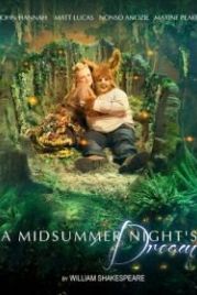 Сон в летнюю ночь (2016) A Midsummer Night's Dream