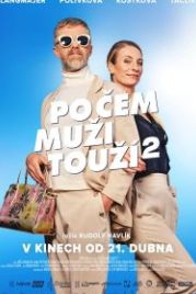 Чего хотят мужчины 2 (2022) Po cem muzi touzí 2