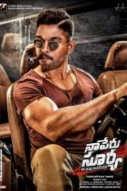Мой дом – Индия (2018) Naa Peru Surya Na Illu India