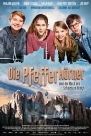 Детективы из табакерки и проклятие черного короля (2017) Die Pfefferkörner und der Fluch des Schwarzen Königs