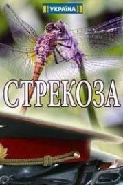 Стрекоза (2018)