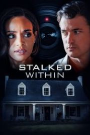 Шпионаж (2022) Stalked Within