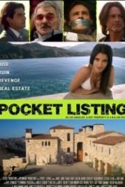 Прикарманенная сделка (2015) Pocket Listing