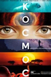 Космос: Пространство и время (2014) Cosmos