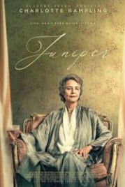 Можжевельник (2021) Juniper