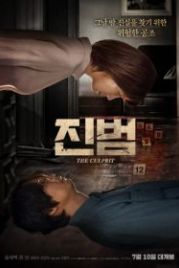 Настоящий преступник (2019) Jinbeom