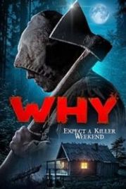 За что? / Почему? (2019) Why?