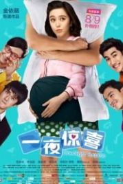Ночной сюрприз (2013) One Night Surprise