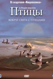 Птицы (2001) Le peuple migrateur