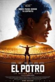 Эль Потро, рожденный любить (2018) El Potro, lo mejor del amor