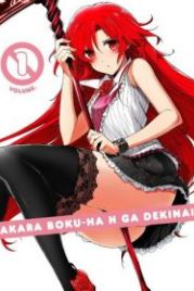 Говорю же, у меня не встаёт! (2012) Dakara Boku wa, H ga Dekinai