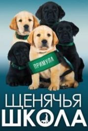 Щенячья школа (2018) Pick of the Litter