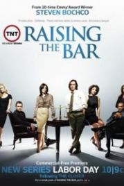 Адвокатская практика (2008) Raising the Bar